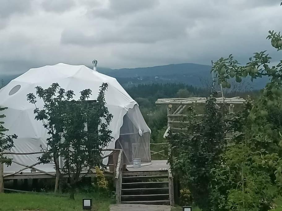 Sapanca Green Dome 외부 사진