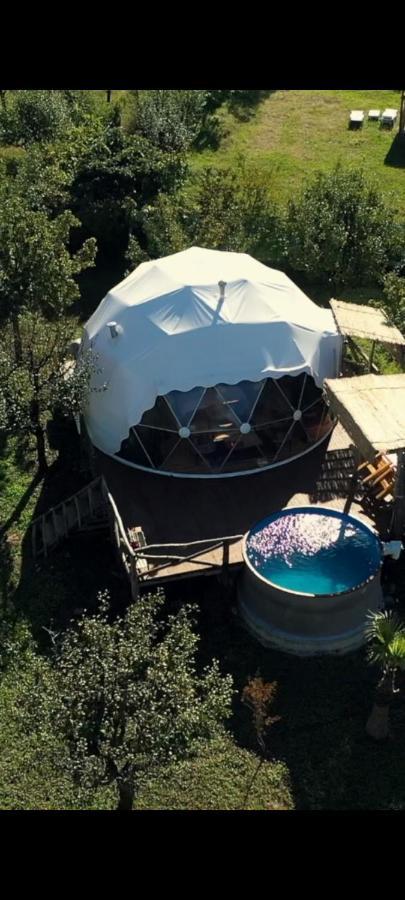 Sapanca Green Dome 외부 사진